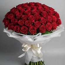 Букет 101 Красная роза Блэк Мэджик в Балакирево