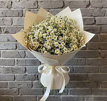 Букет цветов из:  Ромашки в Балакирево