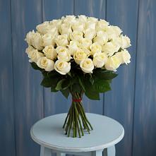 Букет 51 Белая роза Эдлесс Лав #REPLACE_PRED# Балакирево