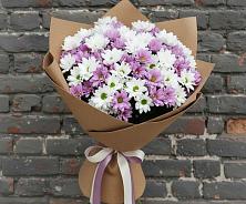 Букет цветов из:  Хризантемы #REPLACE_PRED# Балакирево