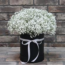 Цветочная композиция из Гипсофила в шляпной коробке в Балакирево