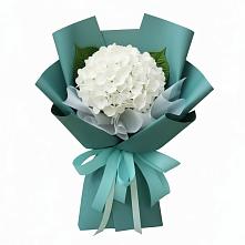Букет цветов из:  Гортензия в Балакирево